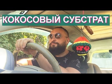 Видео: Обо всем за рулем #12 / Кокосовый грунт для растений / Mr.GrowChannel