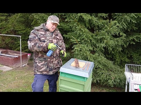 Видео: ПОДГОТОВКА ПЧЁЛ К ЗИМЕ 🐝ЖАРЮ ЧЕБУРЕКИ 🙋🏡😋👍