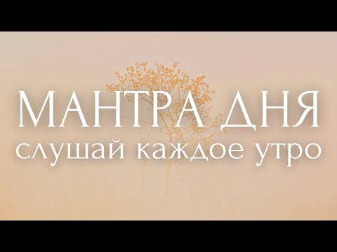 Видео: ТВОЙ НАСТРОЙ НА ДЕНЬ~27 сакральных фраз~ УТРЕННИЕ АФФИРМАЦИИ ~ МАНТРА ДНЯ ~ позитив и мотивация