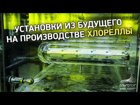 Видео: Как производят планктонную хлореллу от компании Альготек?  #производство #хлорелла #новыеустановки