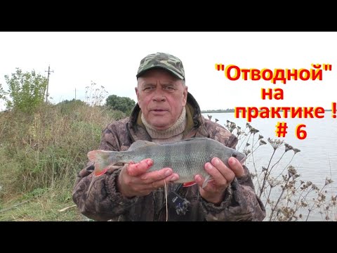 Видео: "ОТВОДНОЙ"№6 Ловля зачетных окуней !!!