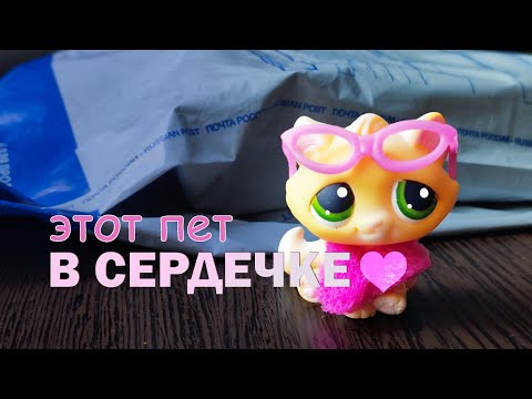 Видео: LPS: Стильные новинки