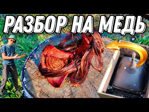 Видео: Охота на Красное золото!