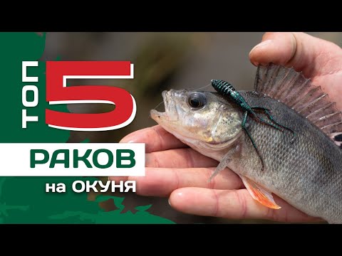 Видео: ТОП 5 раков на окуня от Павла Лясоцкого. Лучшие силиконовые приманки.