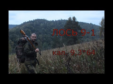 Видео: карабин ЛОСЬ 9-1 обзор