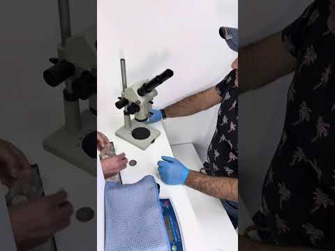 Видео: 4 ноября 2025 г.