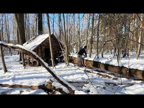 Видео: Строительство новой двери в старой бревенчатой ​​хижине, ночевка зимой