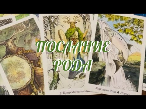 Видео: ТЫ ДОЛЖНА ЭТО ЗНАТЬ ‼️ ТЕБЕ ВАЖНОЕ ПОСЛАНИЕ РОДА ‼️ Таро Онлайн 