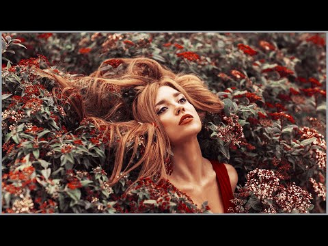 Видео: ТЁЩА И ЗЯТЬ – ОНА ВСЁ СЛЫШАЛА. Интересные истории из жизни. Жизненные истории. Аудио рассказы