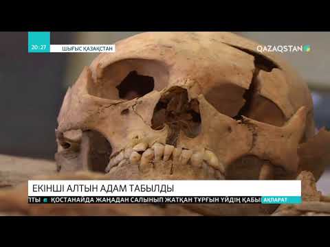 Видео: Қазақ даласынан тағы «Алтын адам» табылды