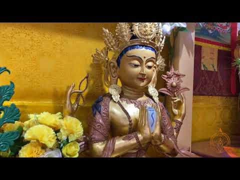 Видео: Дөрвөн үнэний сургаал Зөв амьдрах ухаан 05