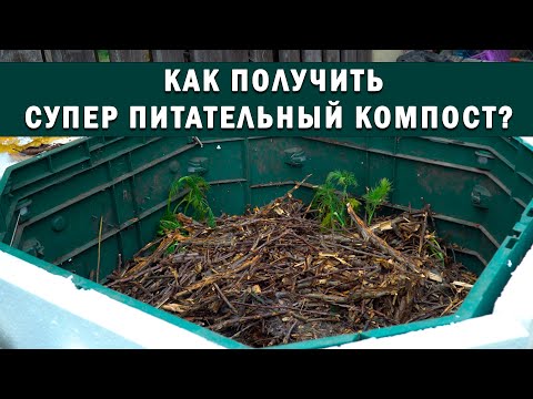 Видео: Чтобы получить супер питательный компост – нужно правильное соотношение коричневого к зелёному!