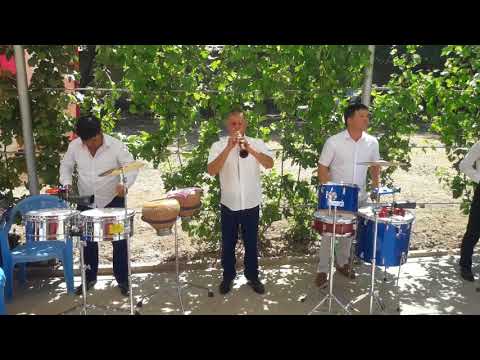 Видео: Турбат файз  8776.766.78.78