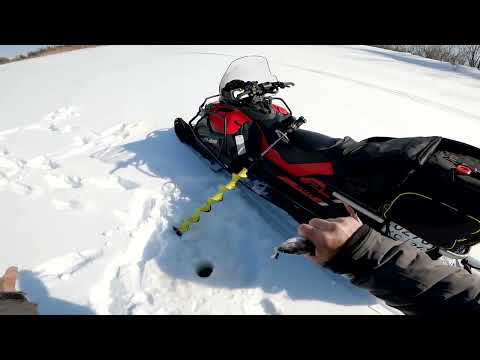 Видео: Рыбалка на реке. Погоня за трофеем. Часть вторая