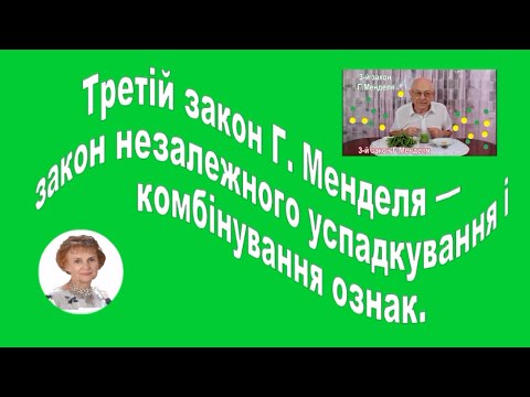 Видео: Третій  закон Грегора Менделя