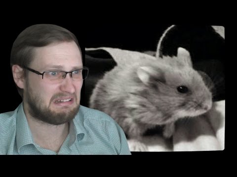 Видео: Hotel Remorse ► ЭТО ШЕДЕВРАЛЬНО ► ИНДИ-ХОРРОР