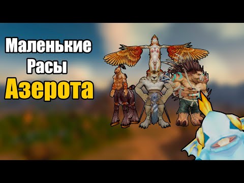 Видео: Мелкие Расы Азерота - Глубины Лора [WARCRAFT]