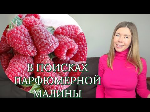 Видео: АРОМАТЫ С НОТОЙ МАЛИНЫ среди люкса, ниши и бюджета