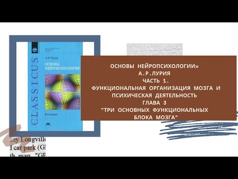Видео: «Основы нейропсихологии» А.Р.Лурия. Прямой эфир 3.