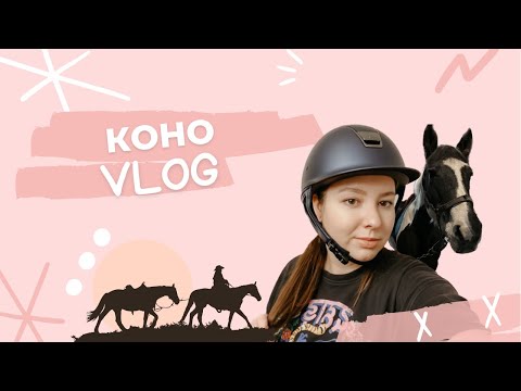 Видео: VLOG из конюшни | начала заниматься верховой ездой | начало коноблога | упрямая лошадь