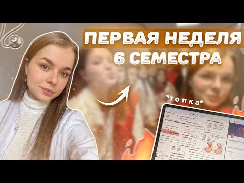 Видео: VLOG: ПЕРВАЯ НЕДЕЛЯ 6 СЕМЕСТРА В МЕДЕ | КАК УЧИТЬ ТОПКУ?