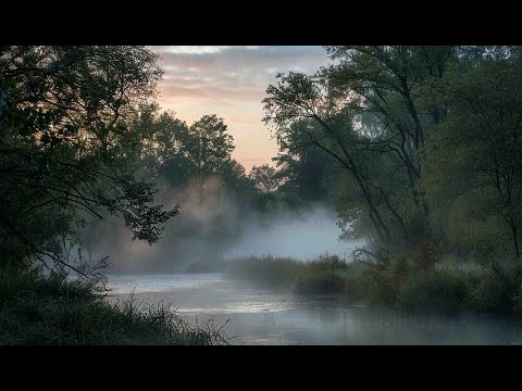 Видео: 🛶 Мелководная река и множество рыбы: Идеальные места для рыбалки 🎣