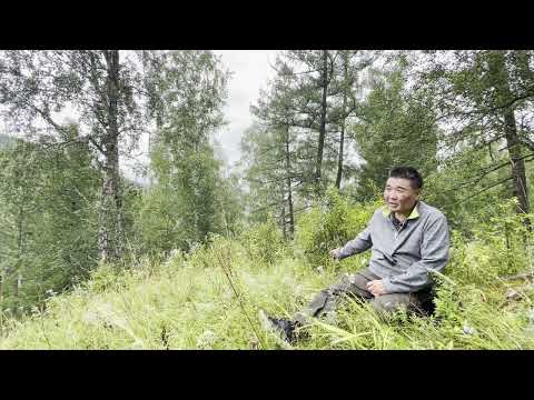 Видео: Јажытту Алтай. Ӧскӱс Уул, баштапкы берилте