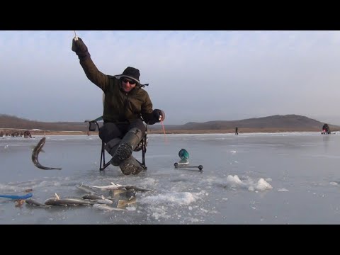 Видео: зимняя рыбалка.рыбалка во Владивостоке.жизнь в приморье.Навага.селедка