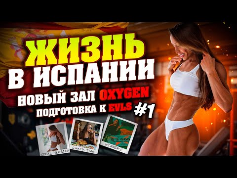 Видео: ЧТО БЫЛО ДО?