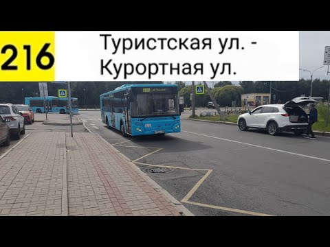 Видео: Автобус 216. Туристская ул. - Курортная ул.