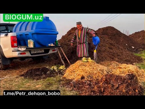 Видео: Барг, сомон ва гўнгдан зўр тупроқ тайёрлаш. Уй шароитида хазондан Компост тайёрлаш.