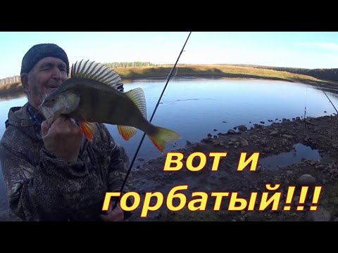 Видео: С дедом по реке. Горбач на вертушку.