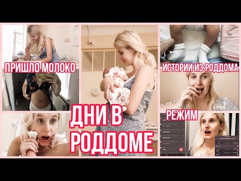 Видео: ДНИ В РОДДОМЕ ◈ 2 И 3 СУТКИ ПОСЛЕ РОДОВ ◈ РЕЖИМ ◈ МОЛОКО ◈ ЖИВОТ ◈ ОЩУЩЕНИЯ ПОСЛЕ РОДОВ