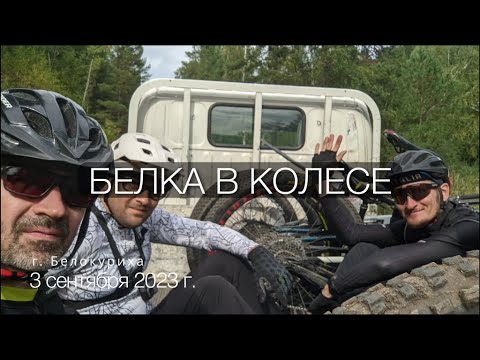 Видео: Белокуриха. Трейлы "Белка в Колесе"