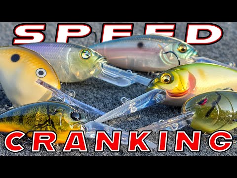 Видео: Скоростная ловля окуня: всё, что вам нужно знать! (Осенняя и зимняя ловля на крэнкбейт)
