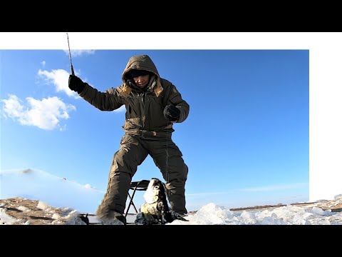 Видео: Зимняя рыбалка на щуку. Рыба сиг. Рыбалка на Амуре.