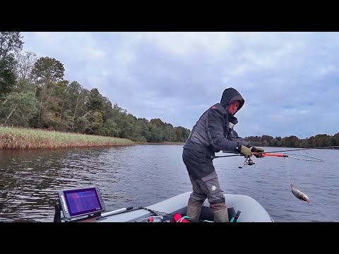 Видео: Рыбалки на ХИЩНИКА в Витебской области|Косяки эхолота FS 9