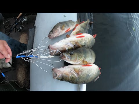 Видео: Как ловить на Блесну Вертушку ТРОФЕЙНОГО Окуня и Щуку ? Проводка Блесны. Как ловить на Вертушки.