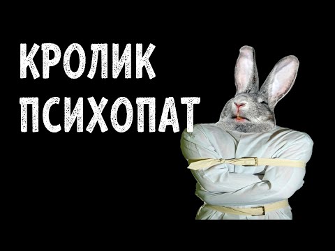 Видео: КРОЛИК - ПСИХОПАТ