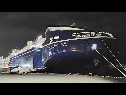 Видео: Загляни внутрь нового парома «Sunflower Pirika»: все каюты — только приватные!