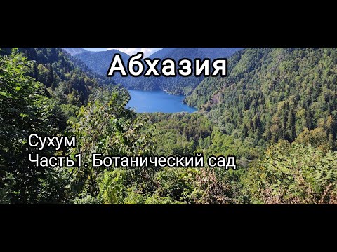 Видео: Абхазия.Сухум. Ботанический сад