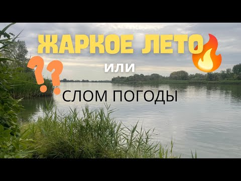 Видео: РЫБАЛКА И ОТДЫХ С НОЧЕВКОЙ НА ДОНУ В КРУГУ ДРУЗЕЙ. ЛОВЛЯ ФИДЕРОМ. У ПРИРОДЫ НЕТ ПЛОХОЙ ПОГОДЫ.