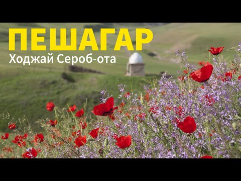 Видео: Пешагар / Пещера / Мальгузар /