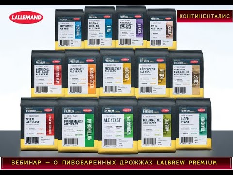 Видео: Вебинар Lallemand