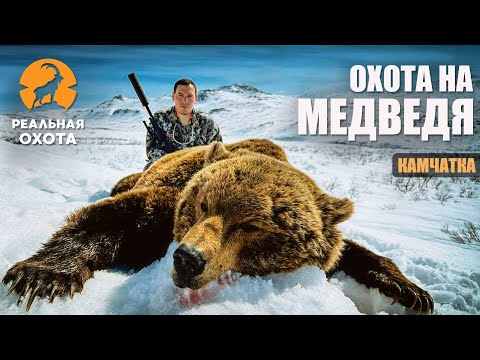 Видео: ОХОТА НА БУРОГО МЕДВЕДЯ | КАМЧАТКА 2024 | РЕАЛЬНАЯ ОХОТА