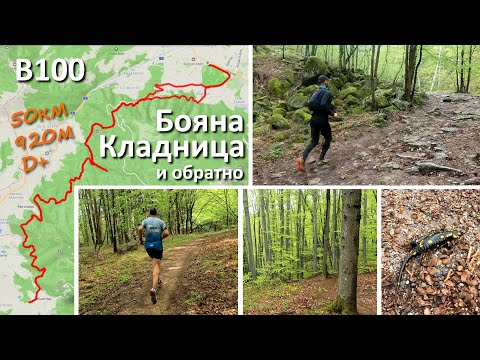 Видео: Витоша 100 | Бояна - Кладница и обратно
