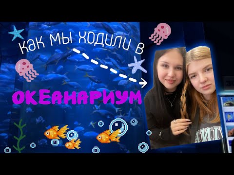 Видео: КАК МЫ ХОДИЛИ В ОКЕАНАРИУМ | самое спокойное видео для сна 😴