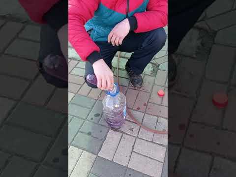 Видео: Обзор нового Керхера К 2, стоит ли покупать? #керхер #керхерк2