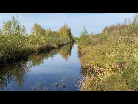 Видео: КОЧКИНО БОЛОТО: заброшенные торфоразработки Ивановской области