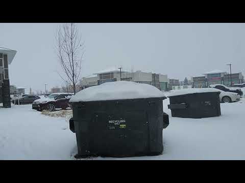 Видео: Влог: Прогулка по заснеженному району Калгари + видео из прошлого (апрель 2021)